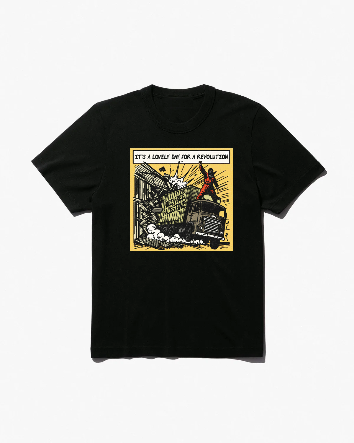 'It's a lovely day for a revolution' Black T-shirt